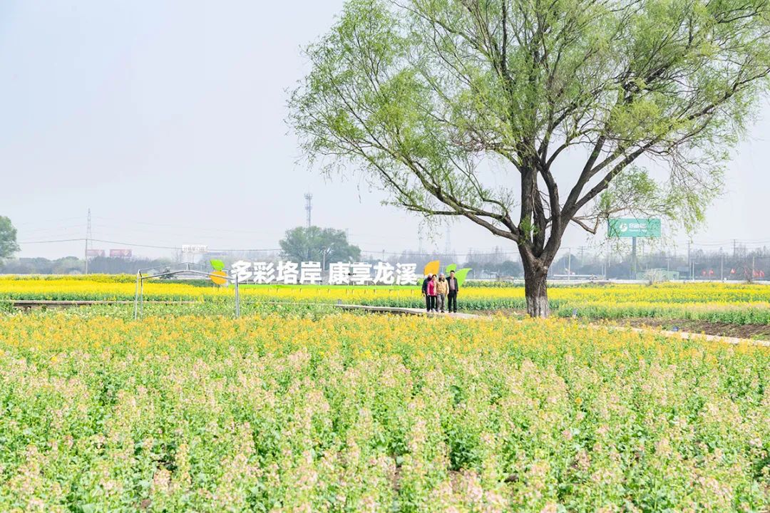 1744183765557773.jpg 1744183765557773.jpg