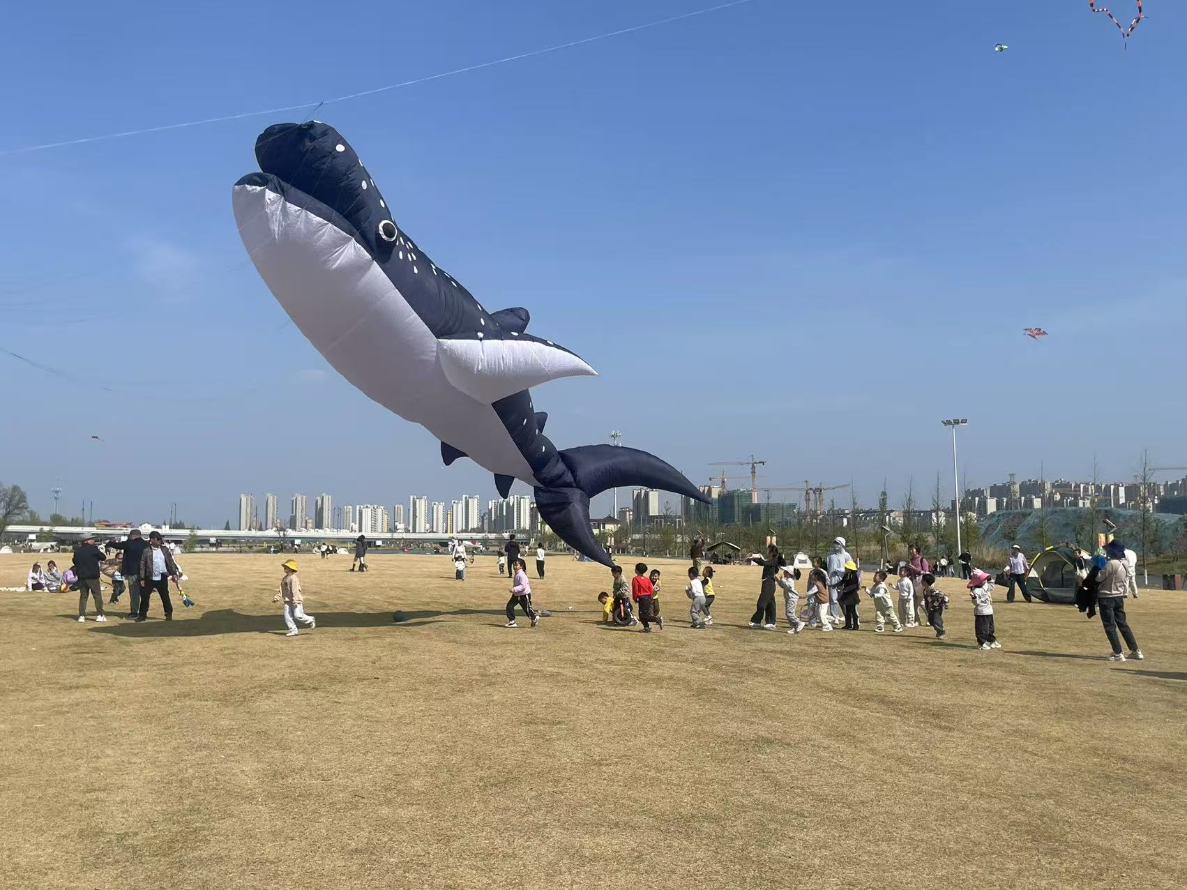 1744185805262779.jpg 1744185805262779.jpg